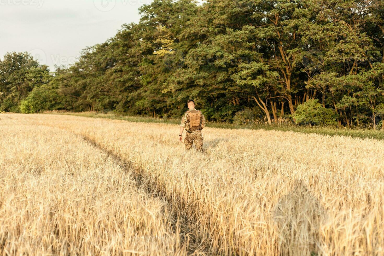 Soldier man standing against a field photo