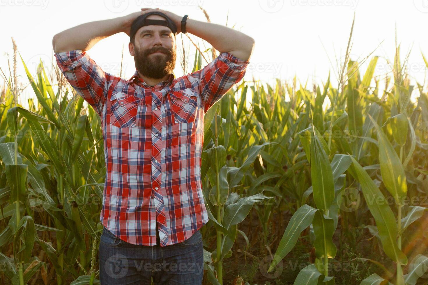 Farmer, close up of face in corn field photo