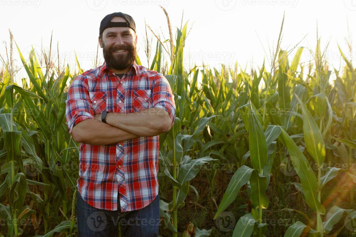 Farmer, close up of face in corn field photo