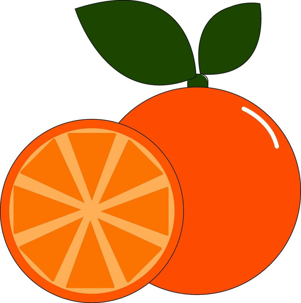 Orange with green leaves, vector or color illustration.