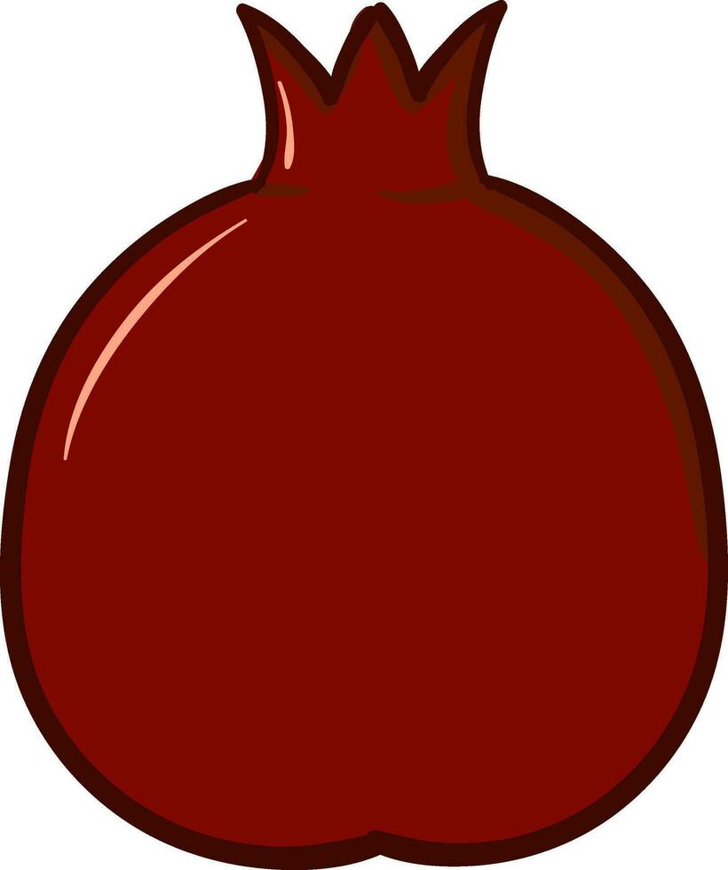 Pomegranate, vector or color illustration.