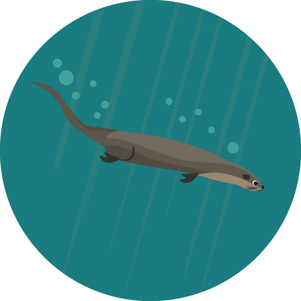 Otter in water, vector or color illustration.