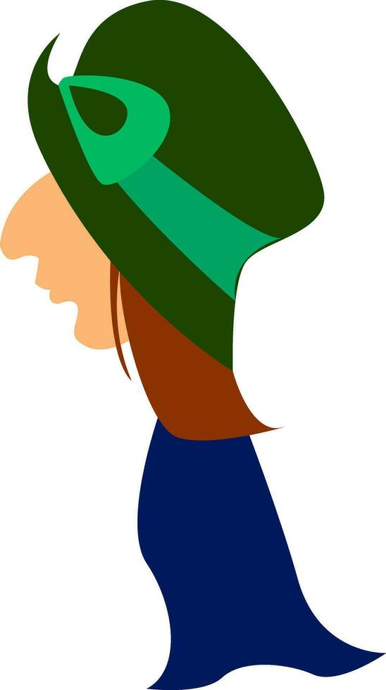 A man with green hat and blue robe, vector or color illustration.