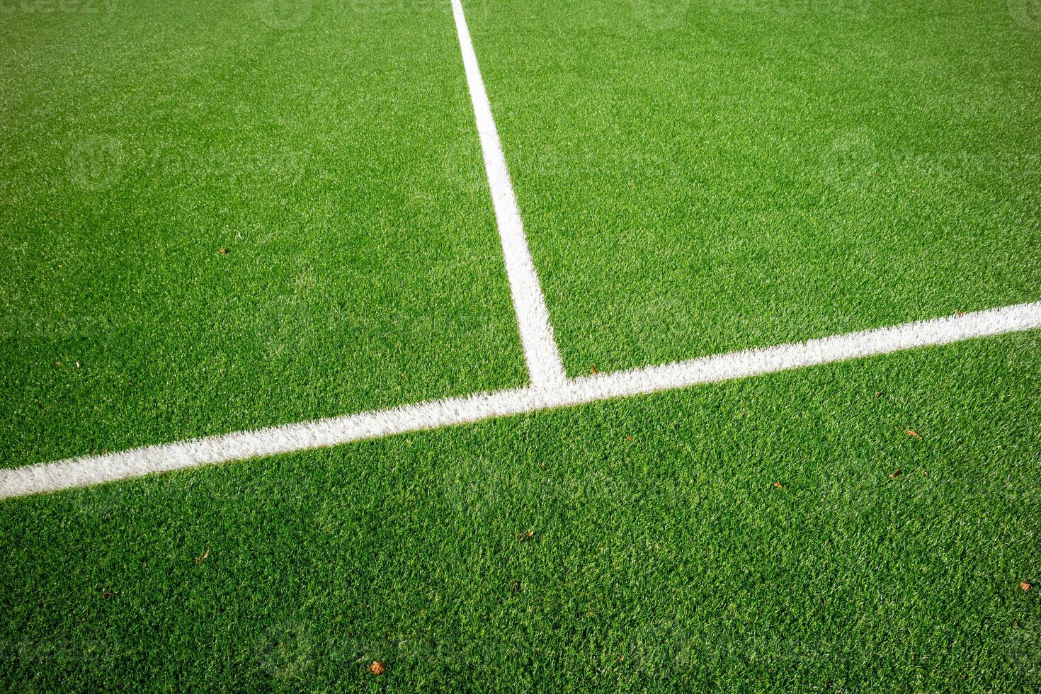 soccer field on grass photo