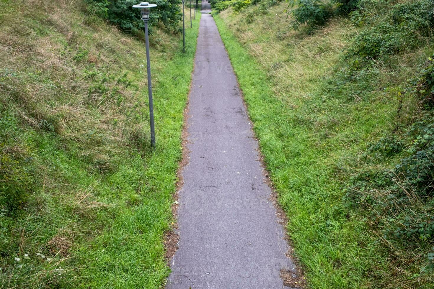 path in the landscape photo