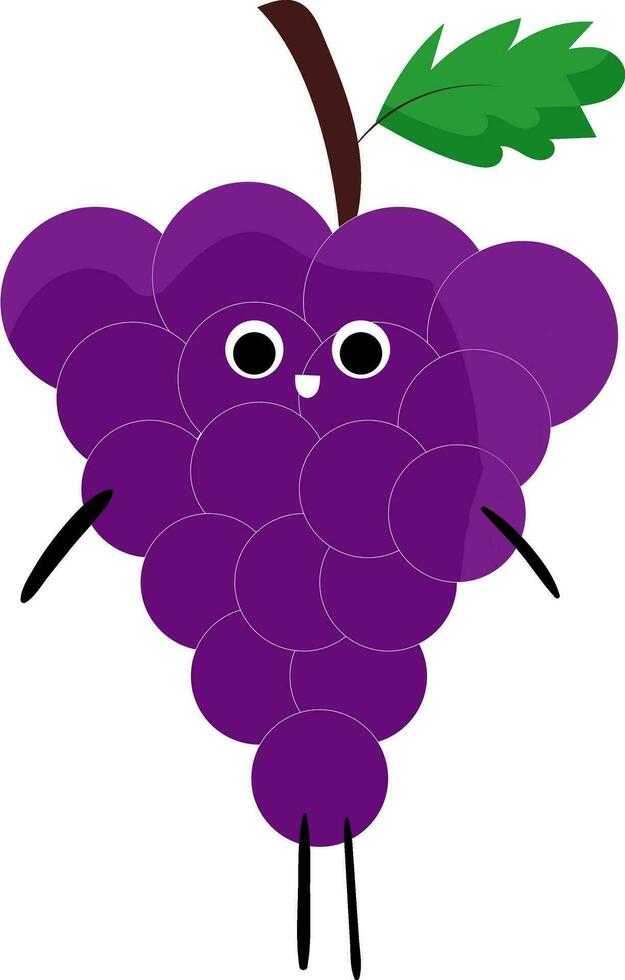 uvas de sinaí, vector o color ilustración.