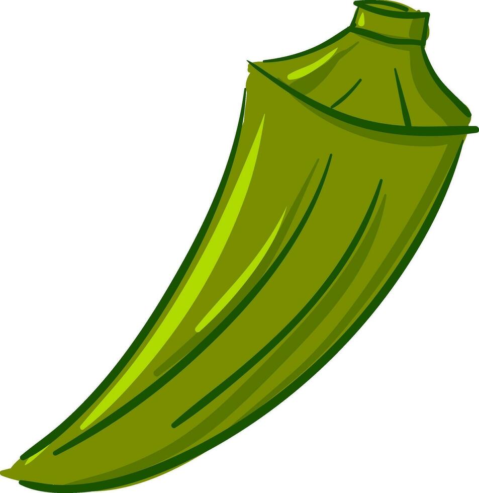 Green okra, vector or color illustration.