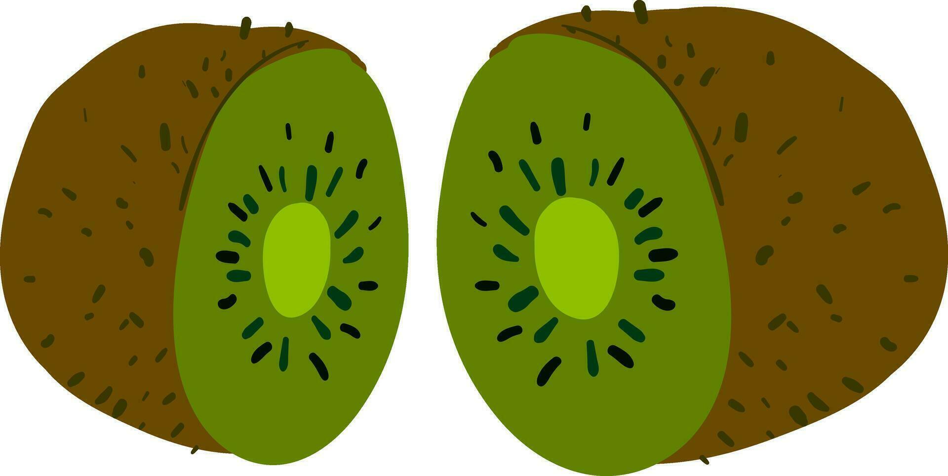 Image of cut kiwi - kiwi fruit, vector or color illustration.