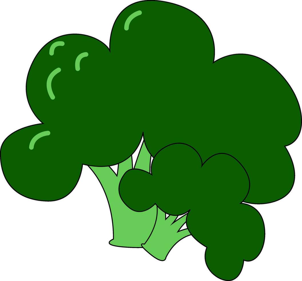 Image of broccoli , vector or color illustration.