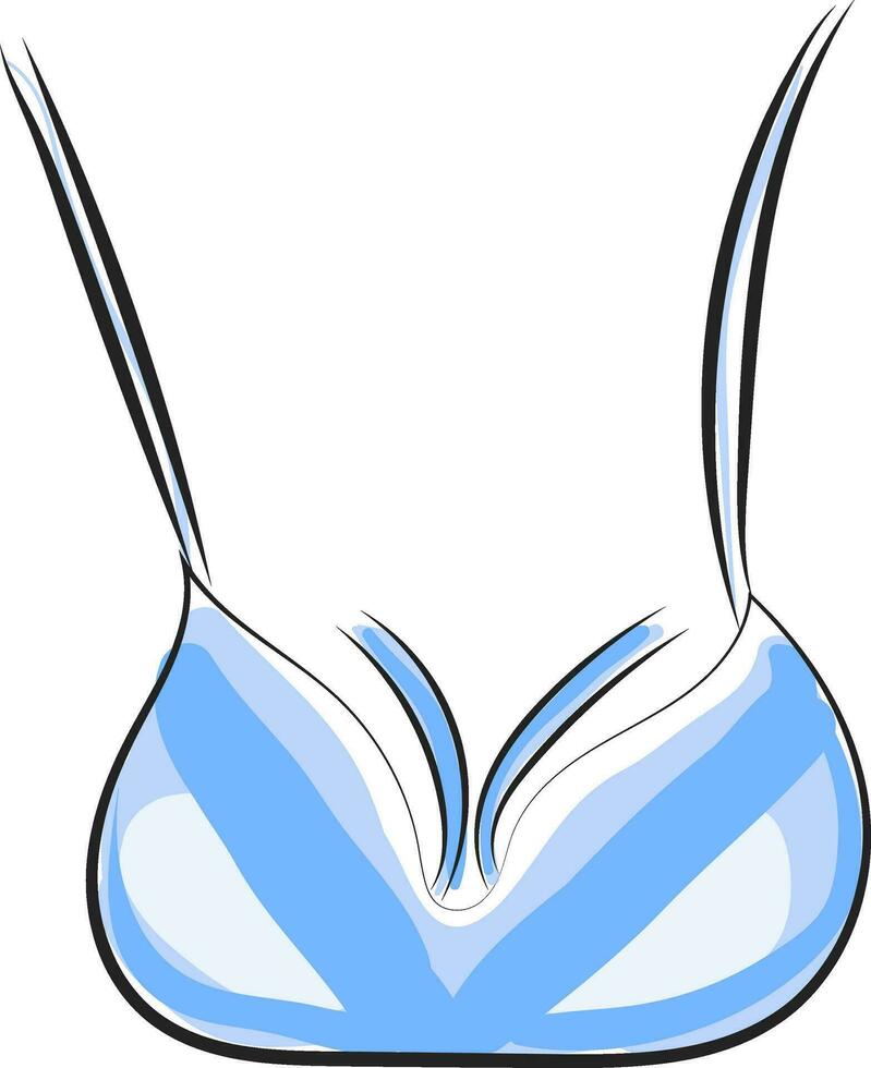 Image of brassiere, vector or color illustration.