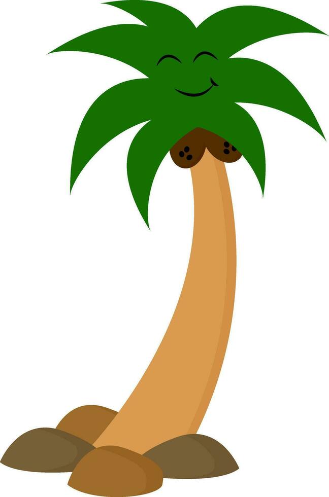 Image of coconut tree, vector or color illustration.