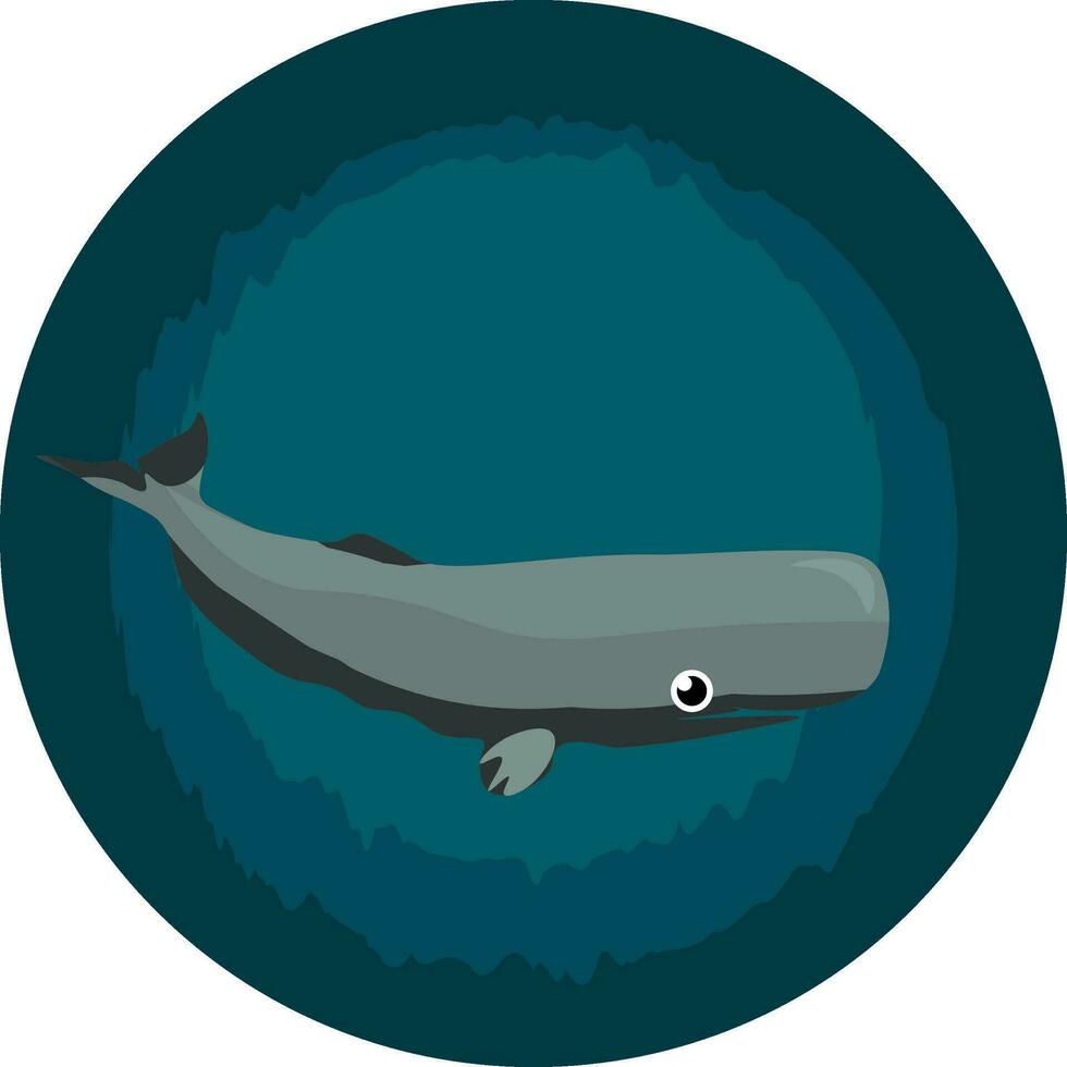 Image of cachalot - sperm whale, vector or color illustration.