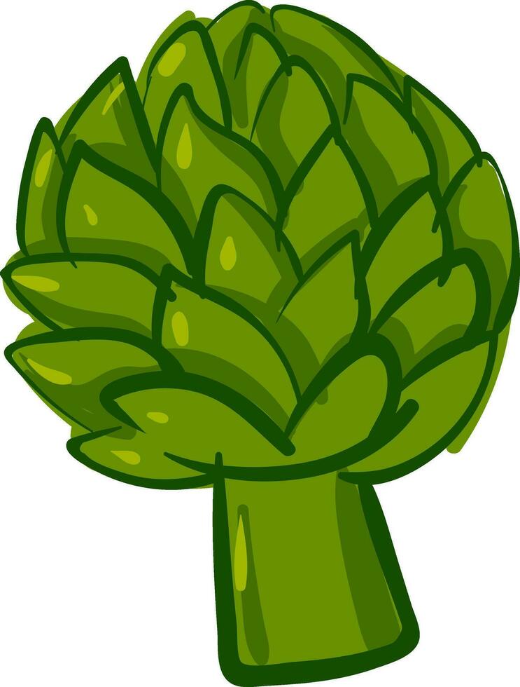 Image of artichoke, vector or color illustration.