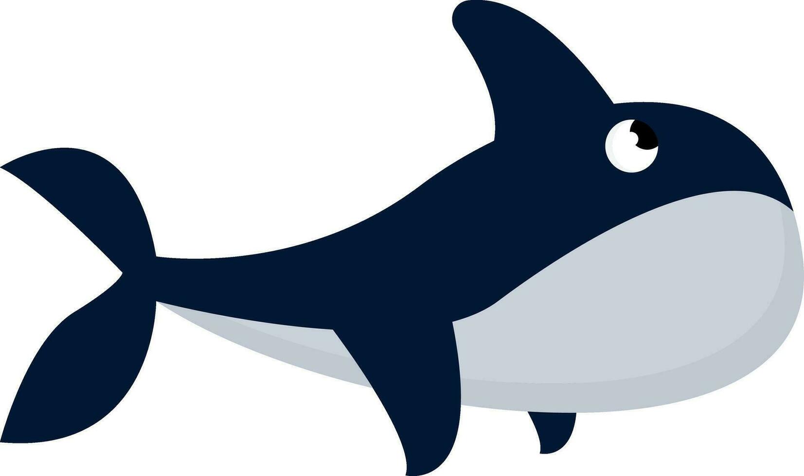 Image of a big whale, vector or color illustration.