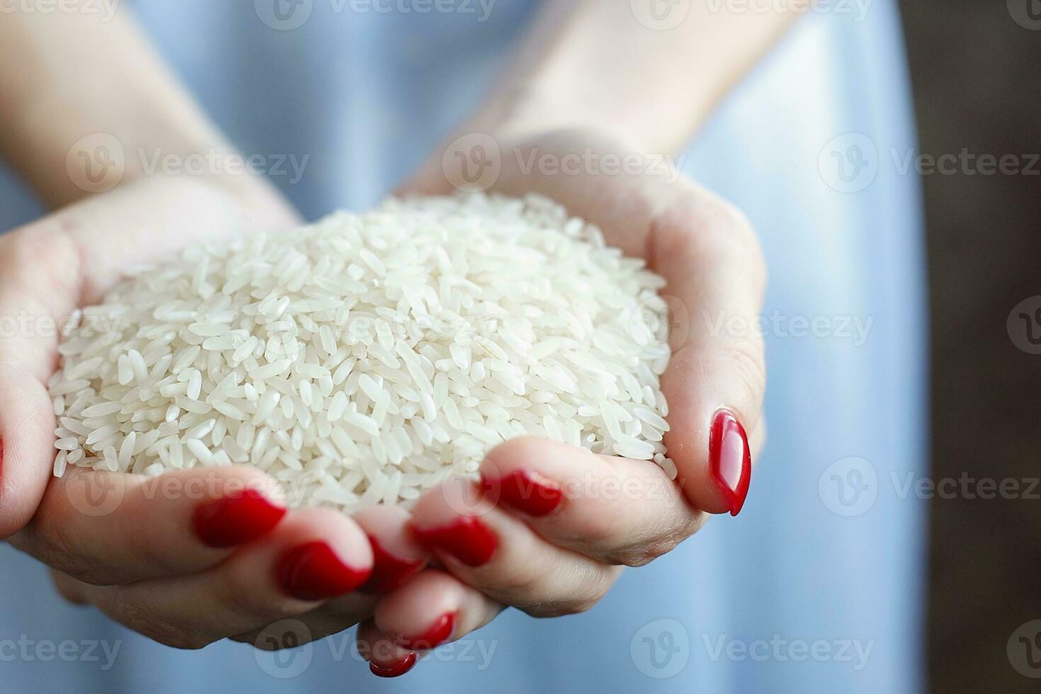 wheat from the palm of her hands. photo