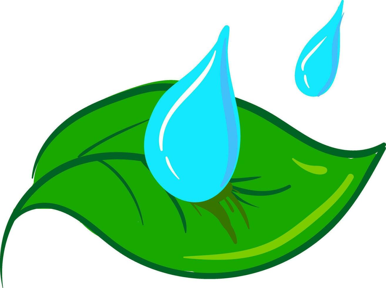 Clipart of two water drops falling on a green leaf vector or color illustration