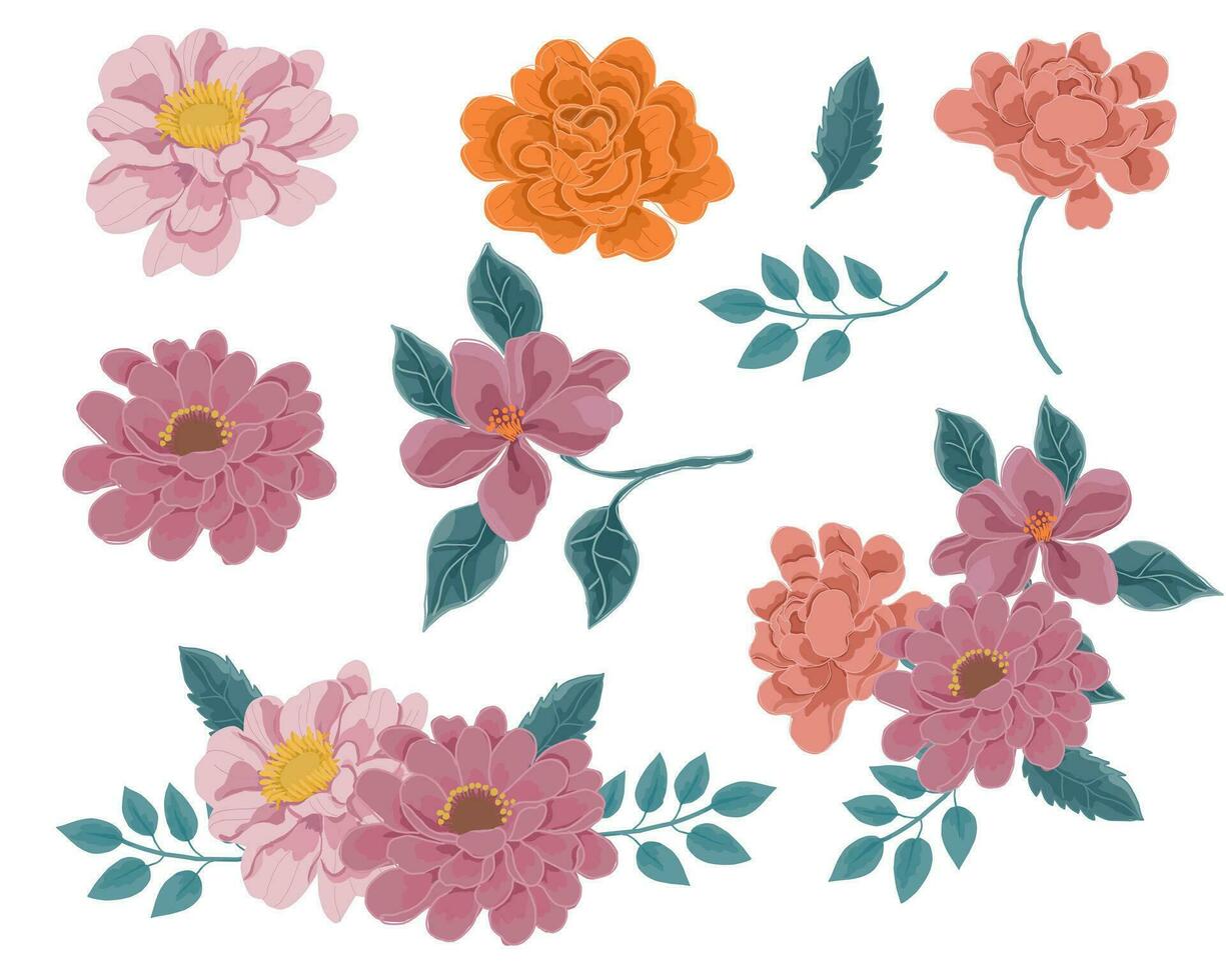 Hand Drawn Rose and Magnolia Flower vector