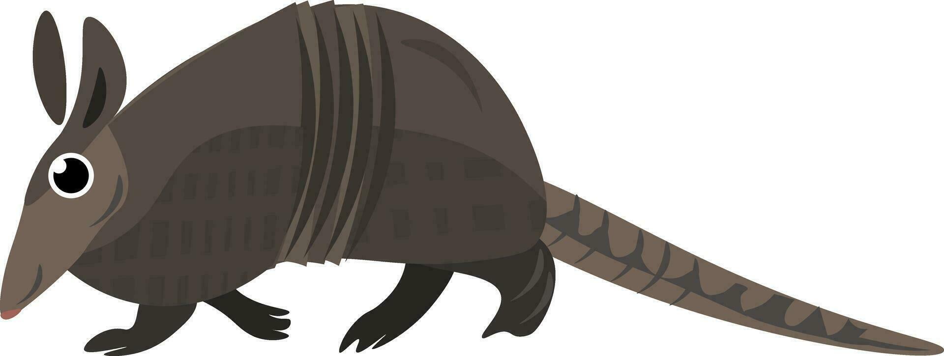 Image of armadillo, vector or color illustration.