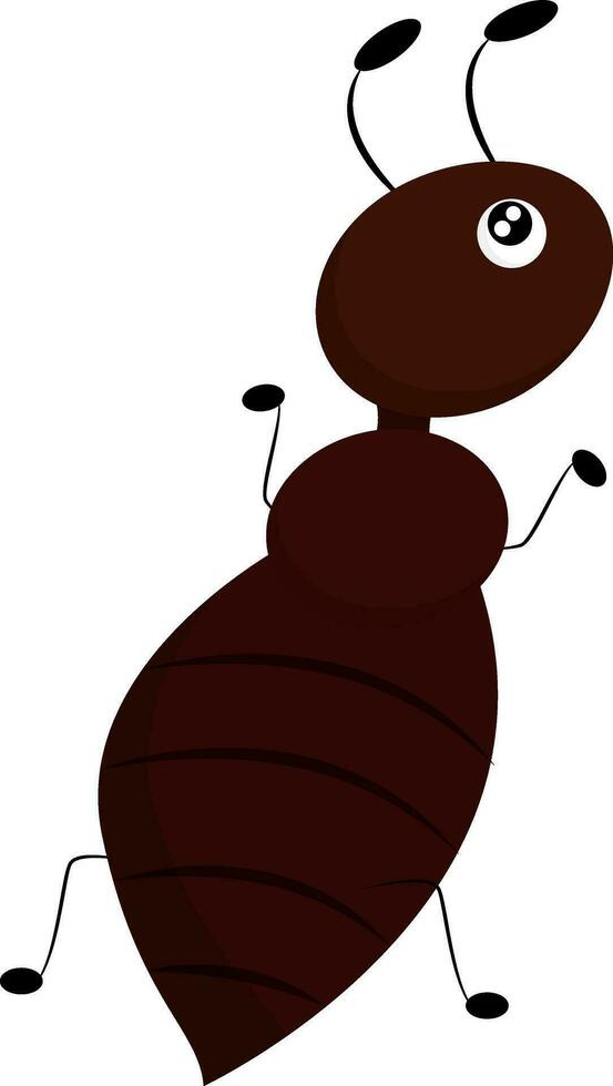 Image of ant, vector or color illustration.
