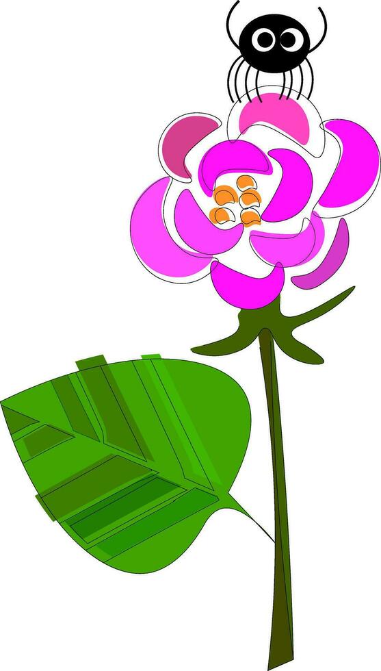 A black spider sitting on the floral disc of the rose plant vector or color illustration