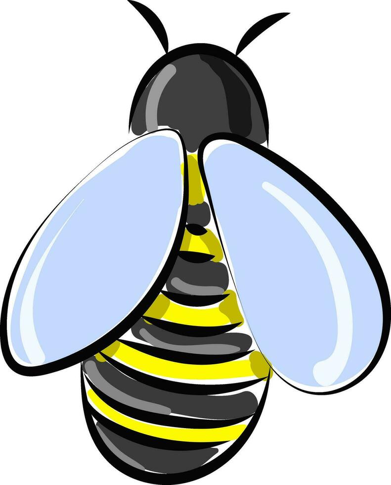 Bee from back , vector or color illustration