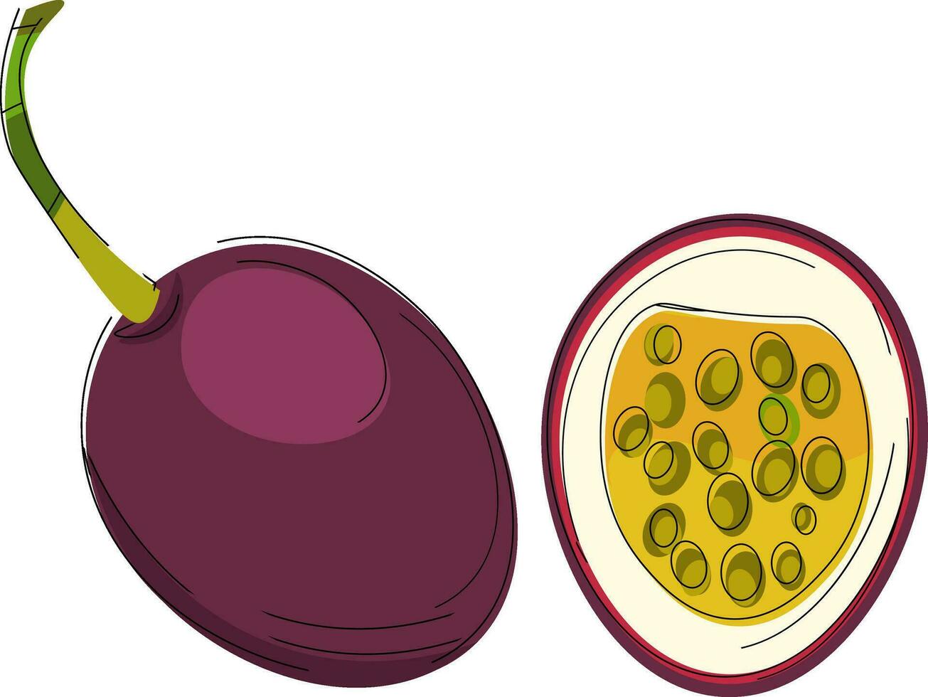 clipart de pasión Fruta vector o color ilustración