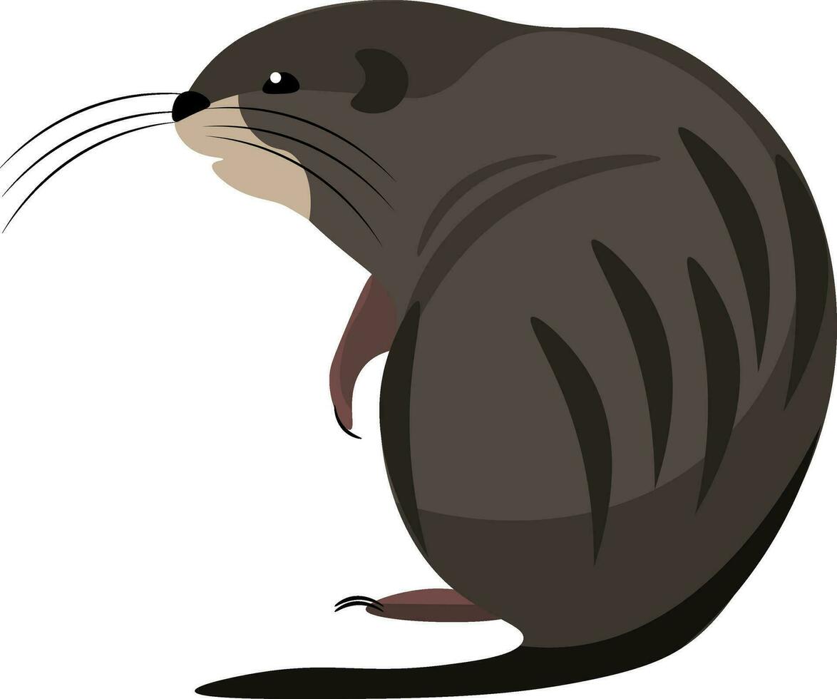 Cartoon muskrat set on isolated white background viewed from behind vector or color illustration