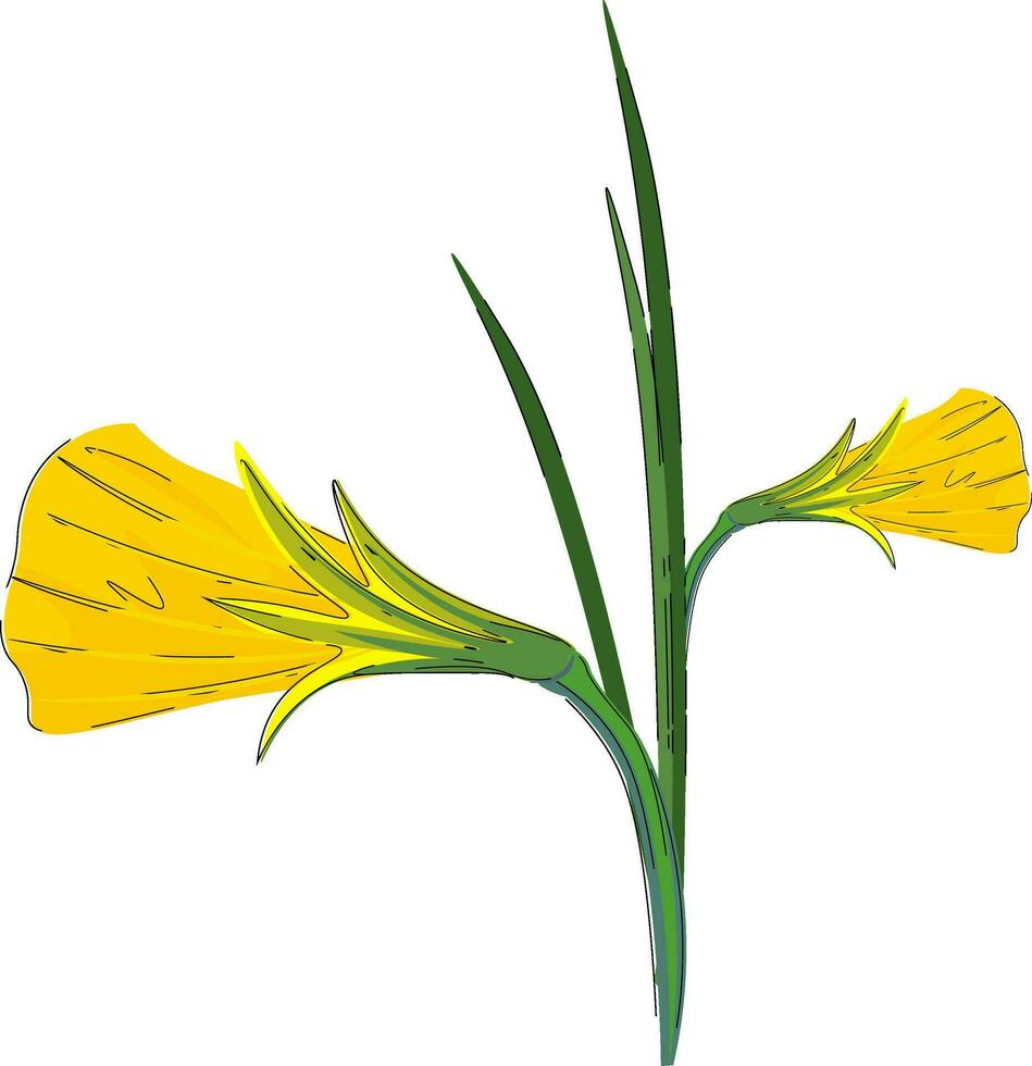 clipart de un planta con flores floreció como dorado campanas vector o color ilustración