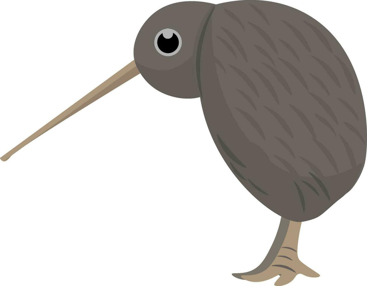 Clipart of the Kiwi brown bird set on isolated white background viewed from the side vector or color illustration