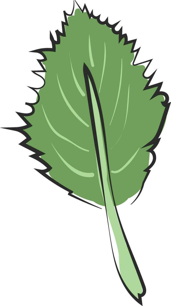 Clipart of an ovate green leaf with a margin and alternate venation vector or color illustration