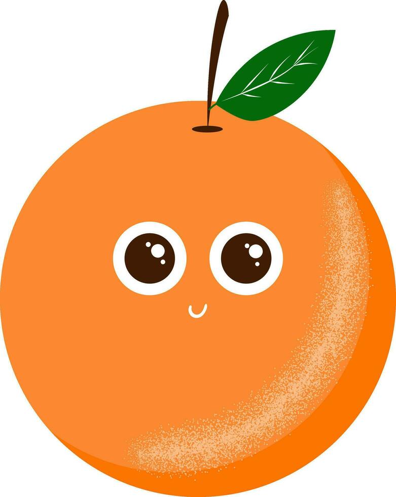 Orange fruit to eat, vector or color illustration.