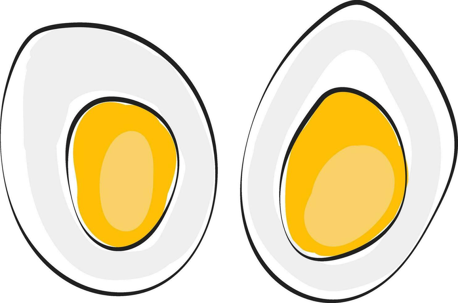 Cut slices of a hard boiled egg vector or color illustration