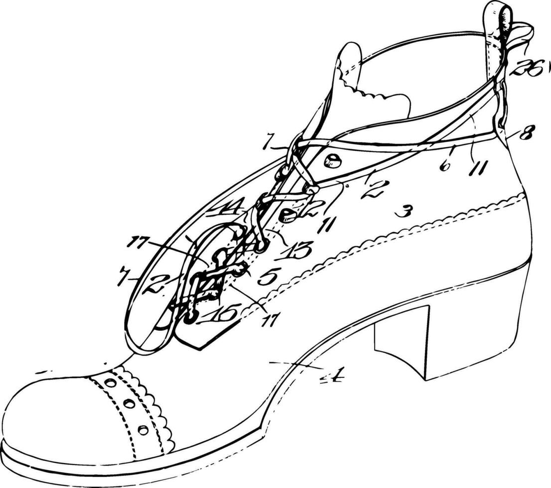 Laced Shoe vintage engraving. vector