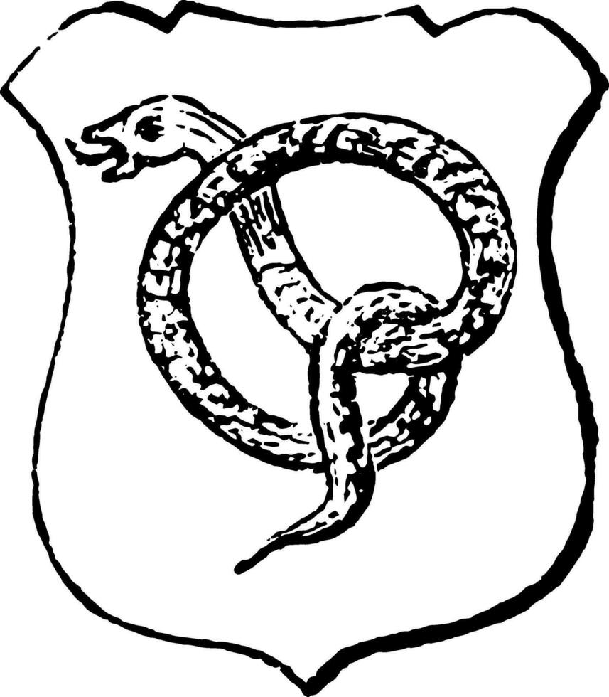 serpiente conocido apropiado es aplicado a serpientes, Clásico grabado. vector