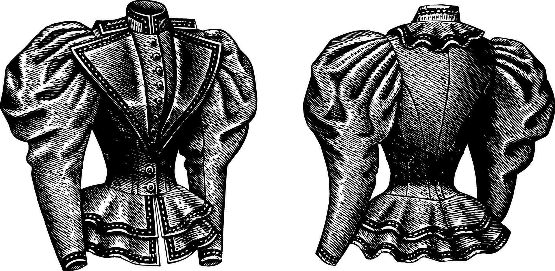 Fitted Jacket, puffed sleeves, vintage engraving. vector