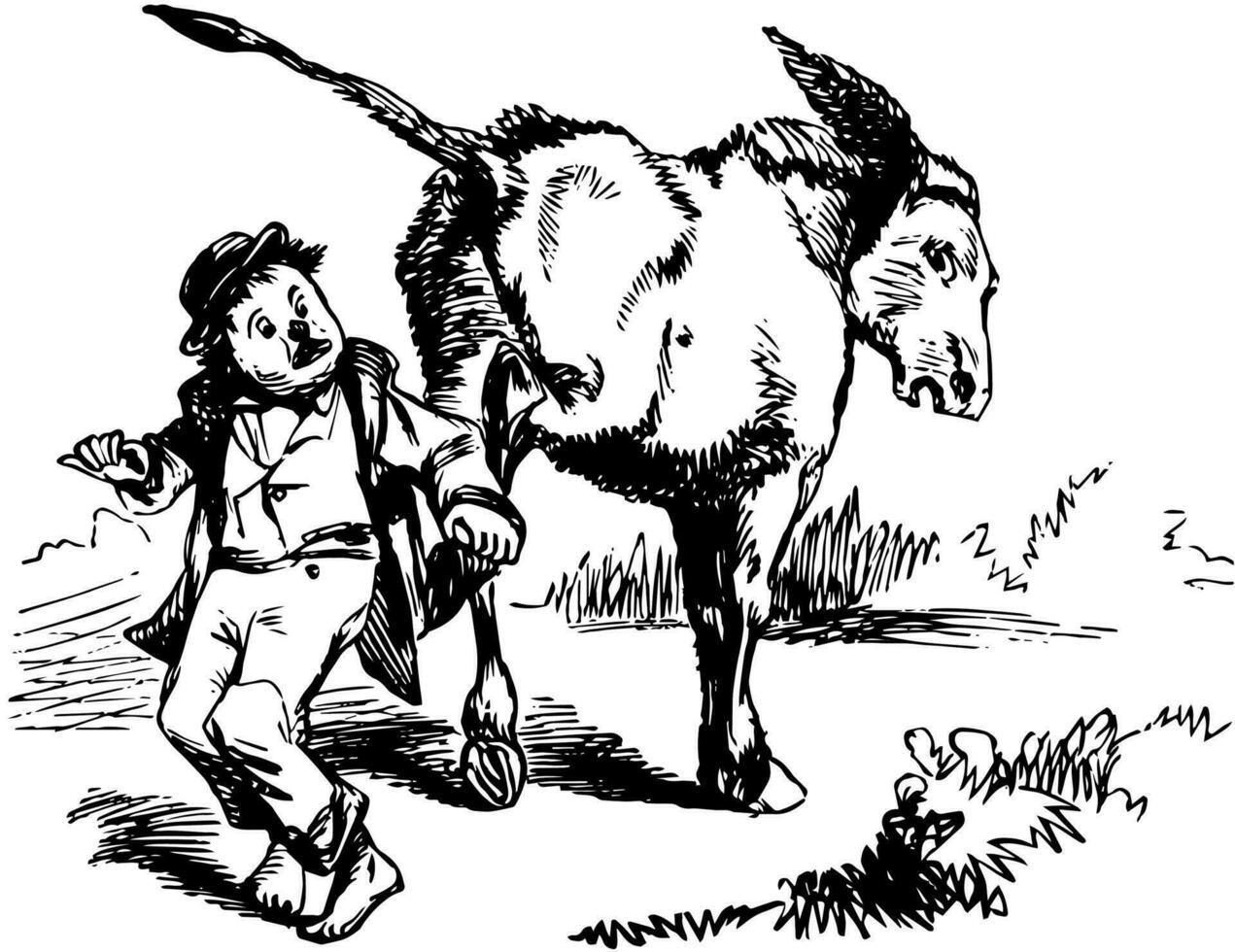 Donkey Kicking Child, vintage illustration. vector