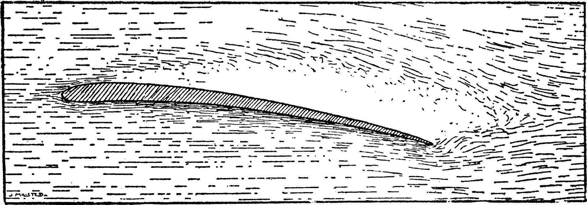 Aerodynamic of Airplane Wing, vintage illustration. vector