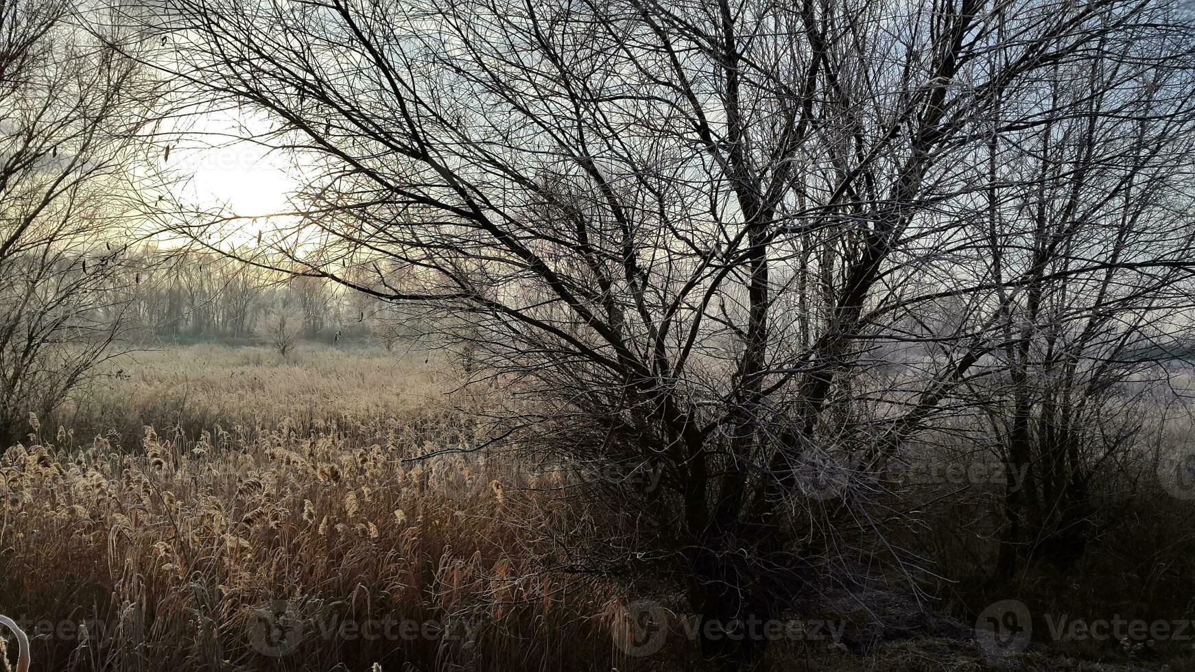 Autumn morning. Frosty autumn morning. Sun in autumn landscape photo