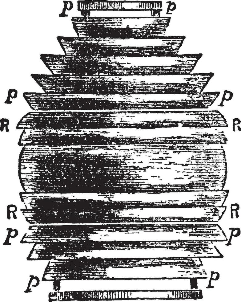 Dioptric Light, vintage illustration. vector