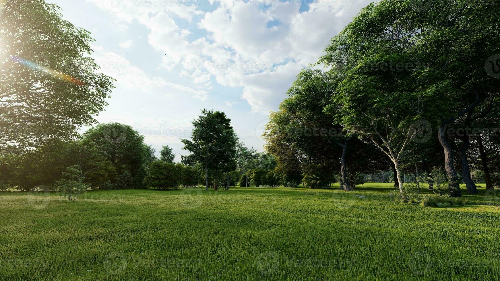 AI generated Beautiful morning light in public park with green grass field photo