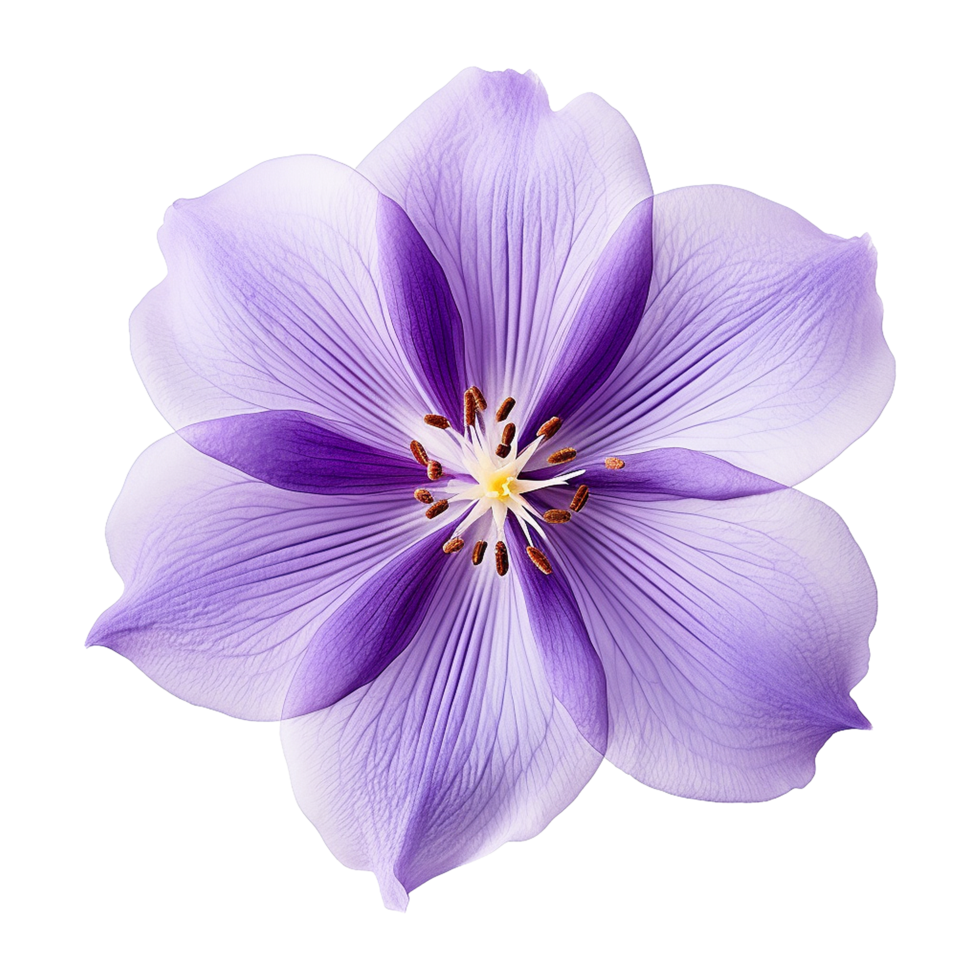 AI generated Watercolor violet flower isolated on Transparent background png