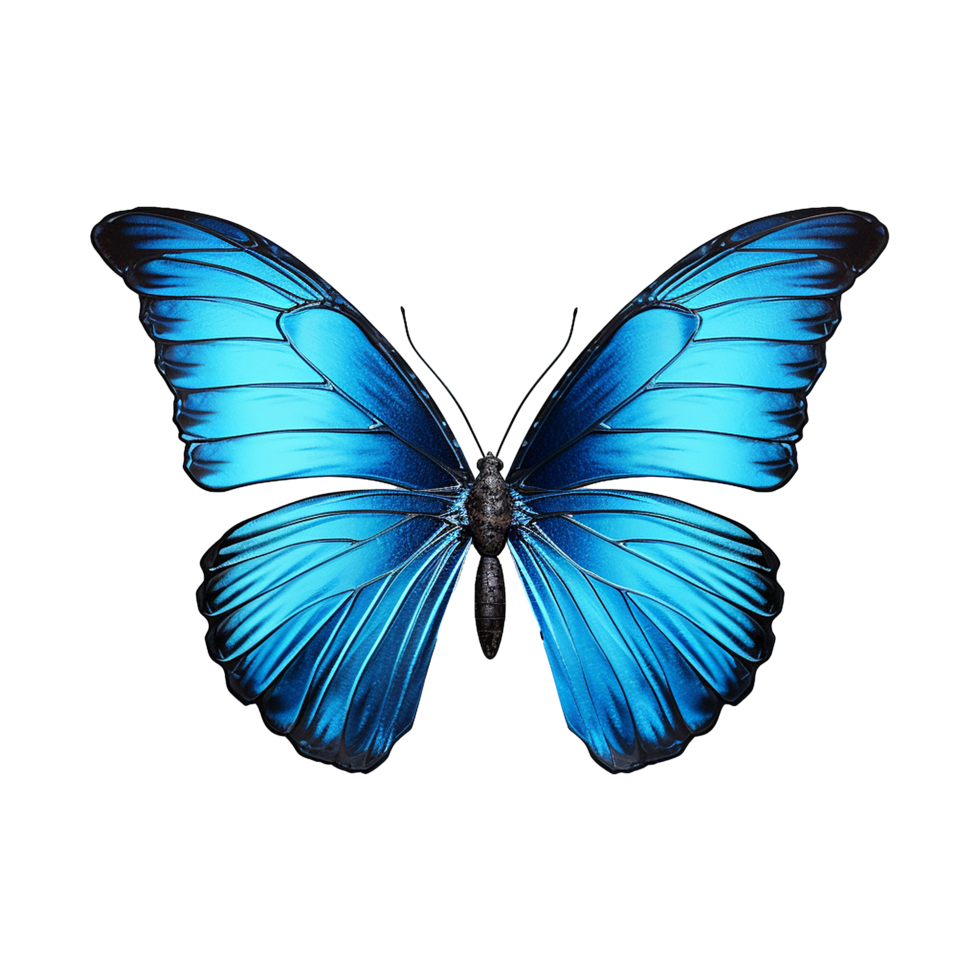 AI generated Butterfly png isolated on transparent background