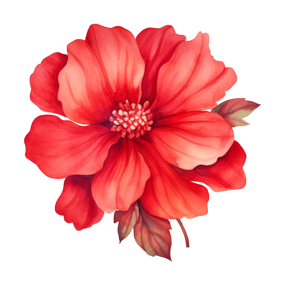 AI generated Watercolor Red flower isolated on Transparent background png