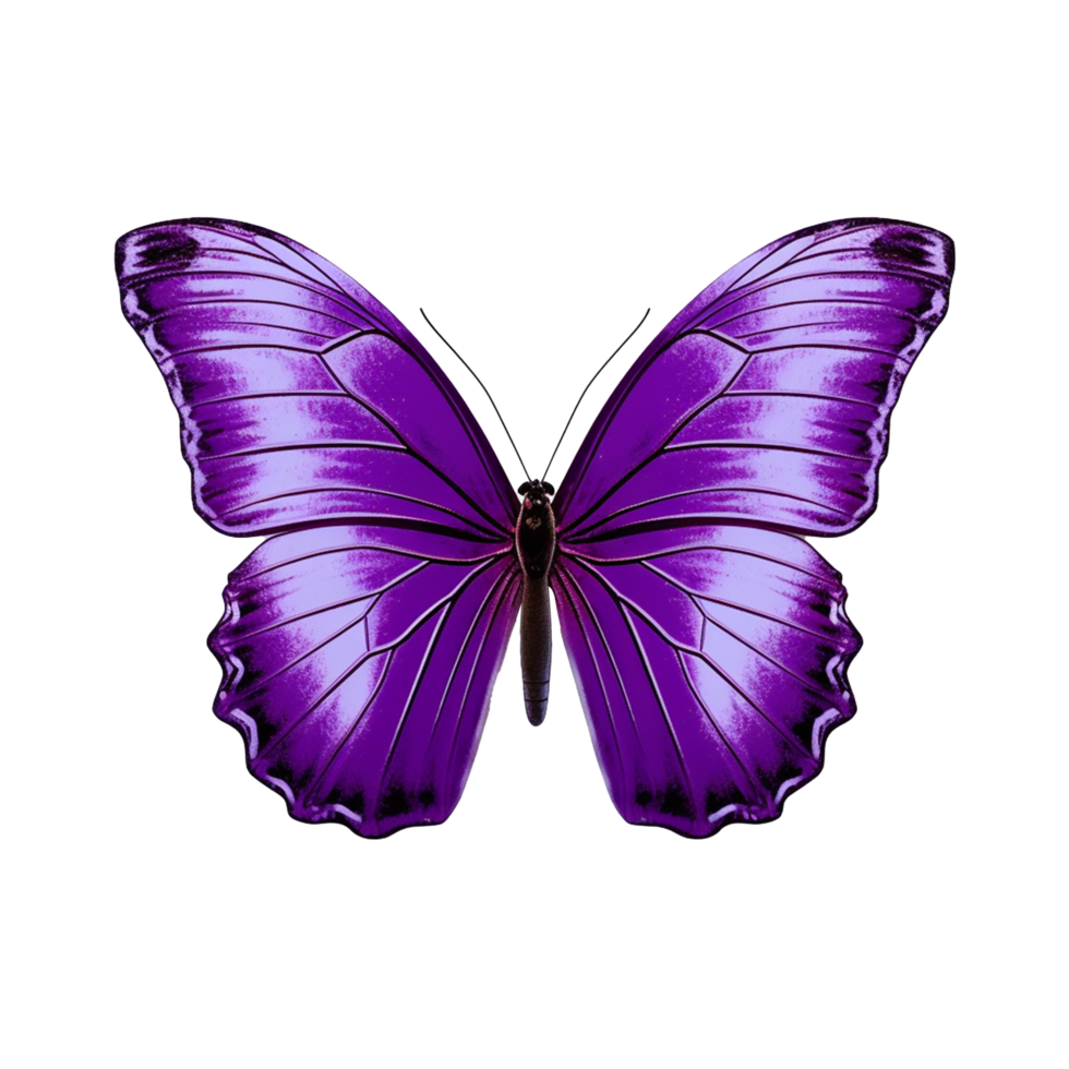 AI generated Butterfly png isolated on transparent background
