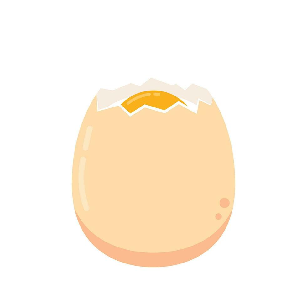 Egg vector. Egg on white background. vector