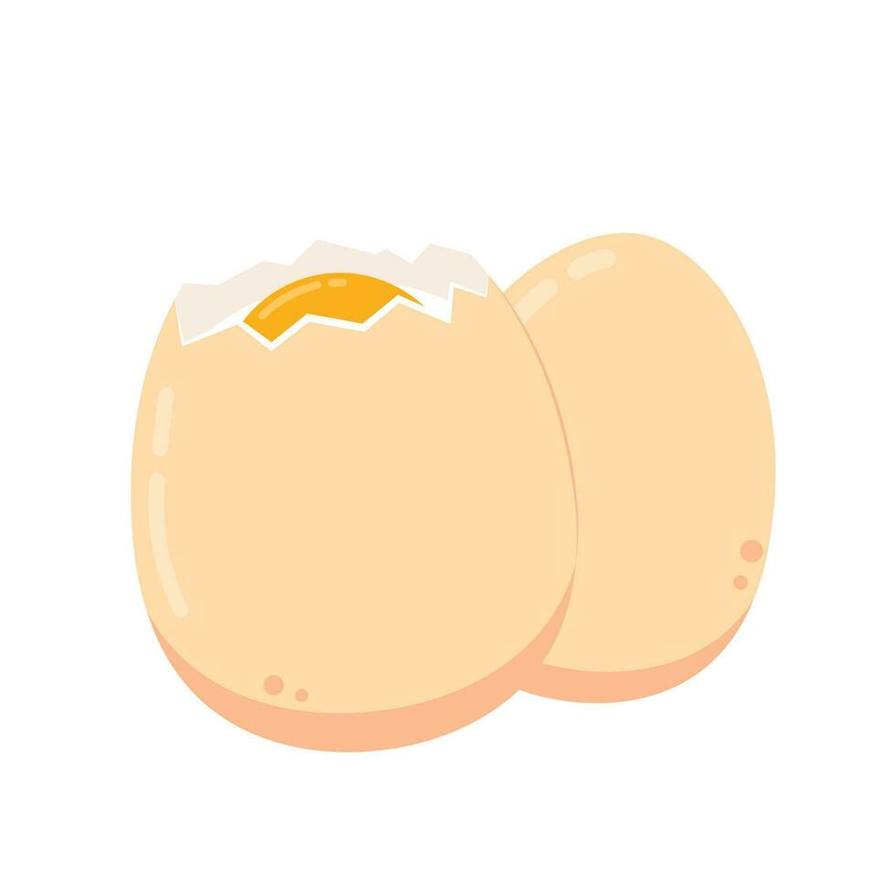 Egg vector. Egg on white background. vector