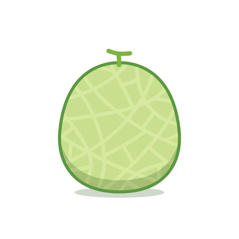 Melon character design. melon on white background. Melon cartoon. vector