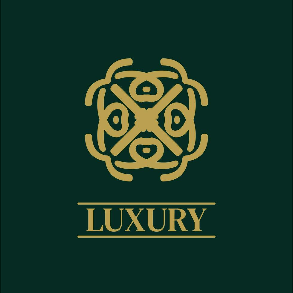 Mandala Geometric ornament logo Elegant premium icon vector design