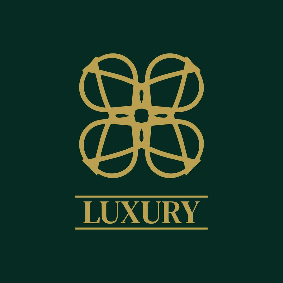 Mandala Geometric ornament logo Elegant premium icon vector design