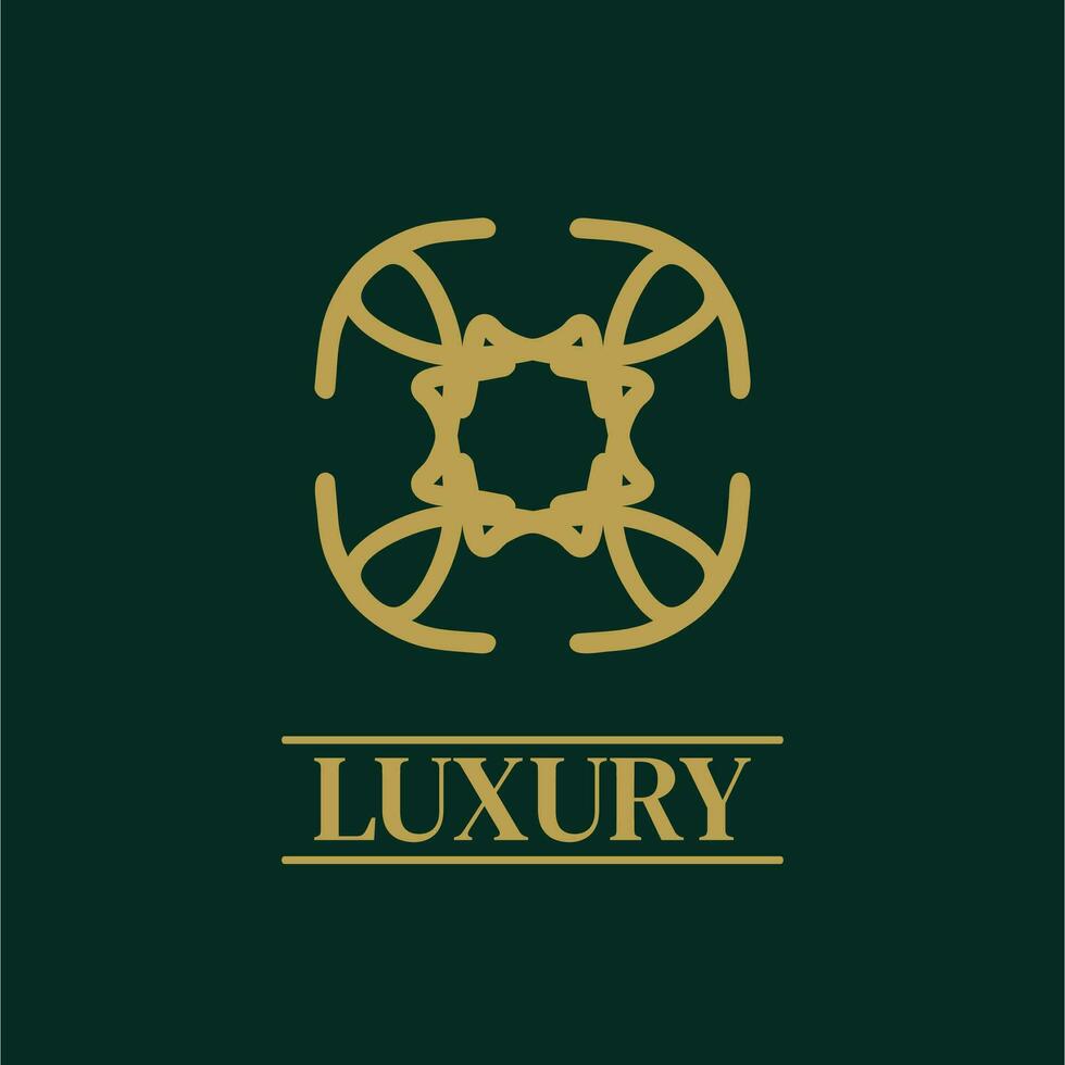 Mandala Geometric ornament logo Elegant premium icon vector design
